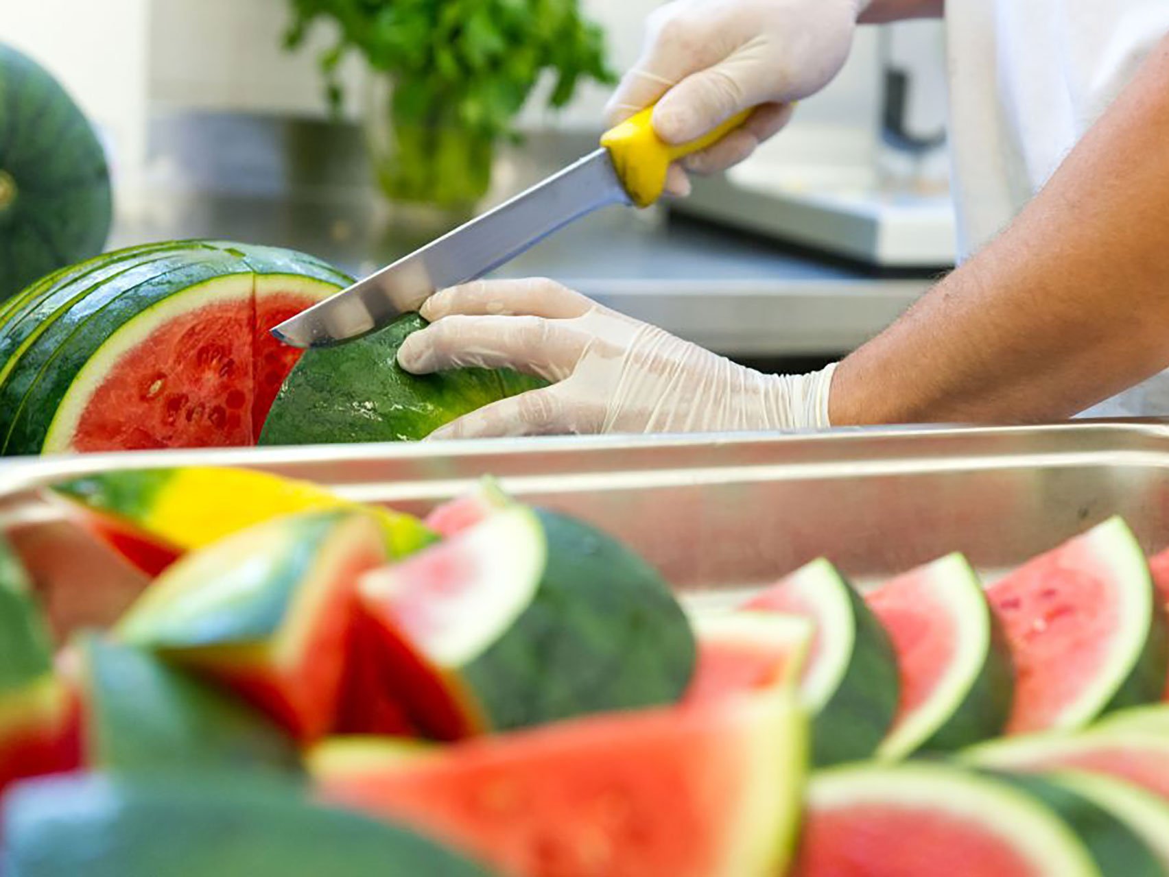 Nahaufnahme: Hände in Gummihandschuhen schneiden eine Melone in viele Stücke