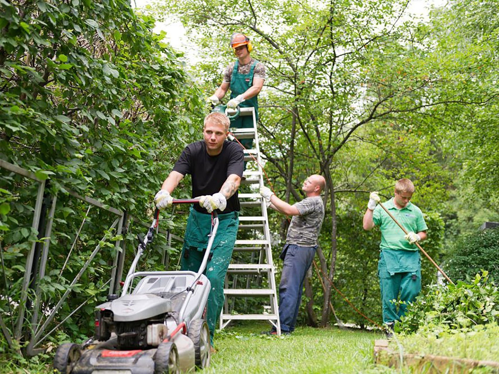 Männer bei der Gartenarbeit: Hecke schneiden und Rasen mähen